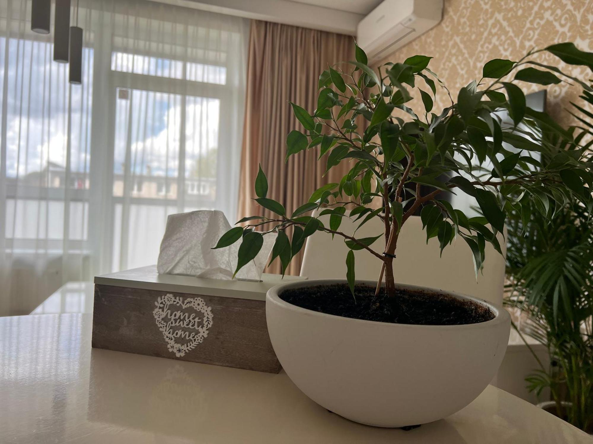 Antakalnis 5 Stars Apartment *